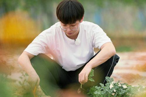 娱乐吃瓜君彭昱畅