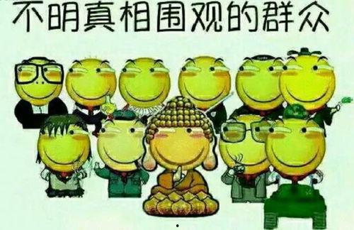 吃瓜群众的近义词是什么,揭秘“吃瓜群众”背后的社会现象