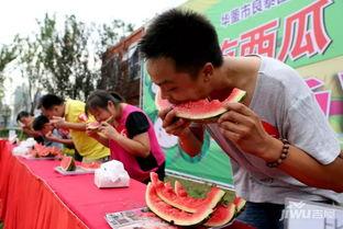 吃瓜网每日大赛在线观看